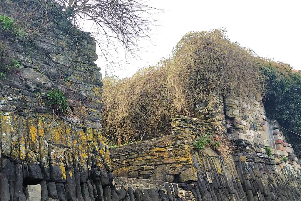 My Diary 2021 – Week&nbsp;11