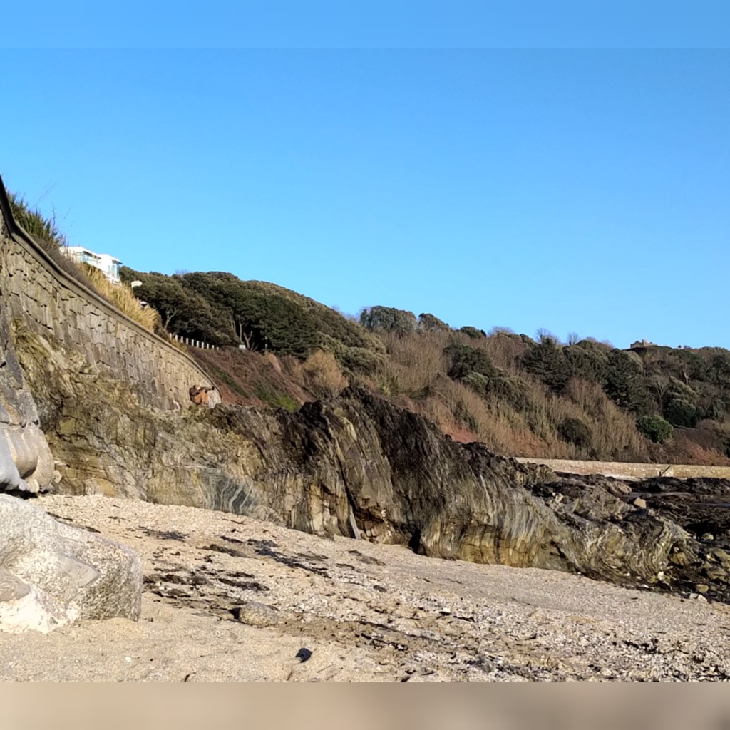 Castle Beach at low tide