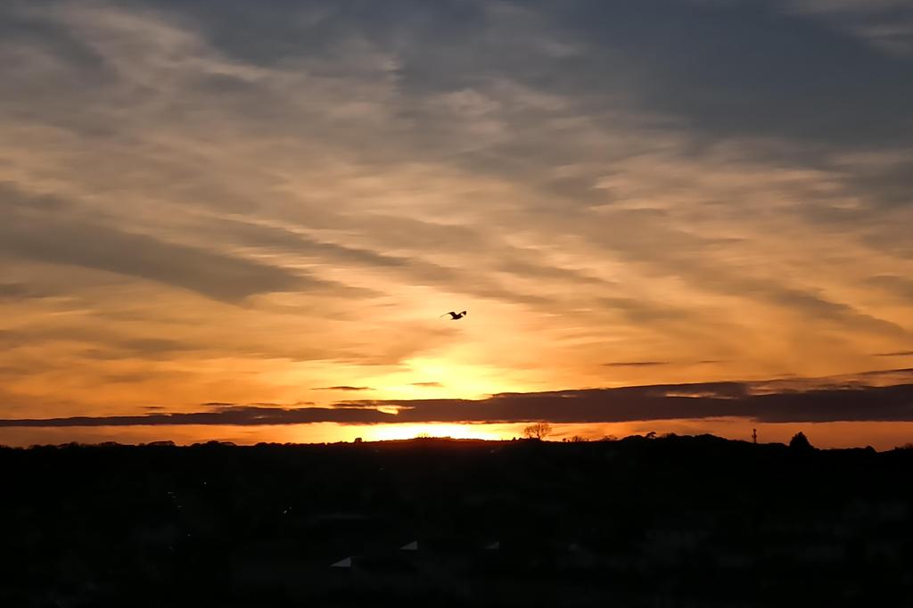 Sunset over Falmouth